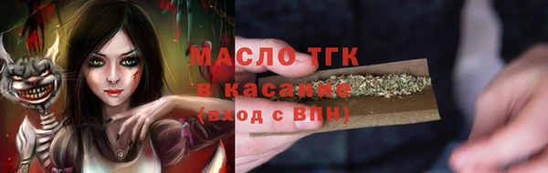 прущий лед Алзамай