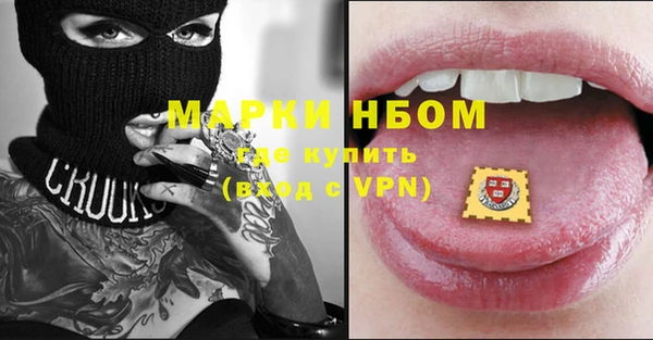 прущий лед Алзамай