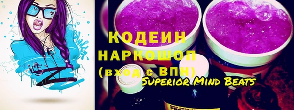 прущий лед Алзамай