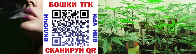 Шишки марихуана гибрид  Чадан 